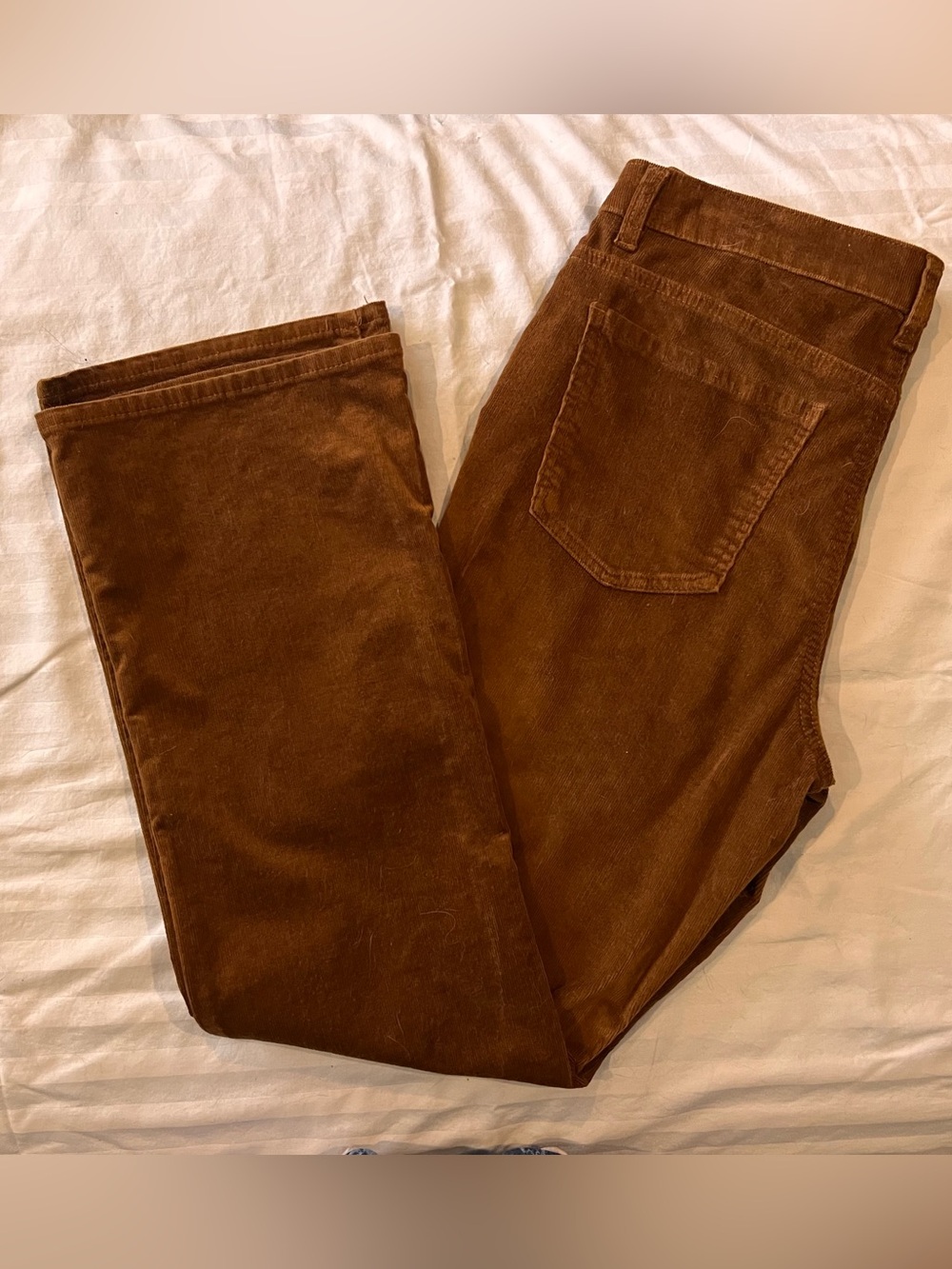 JNY Jones of New York Brown Fine Wale Corduroy Jeans - Boot Cut
